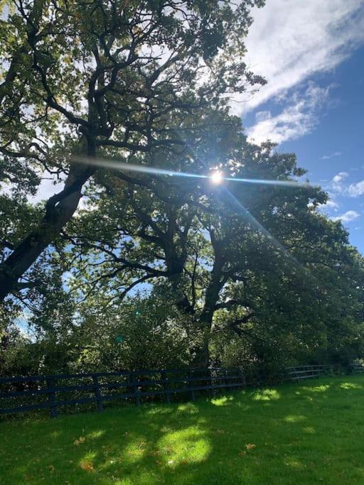 Villa Aspen Leaves: The Perfect Farm Retreat à Graffham Extérieur photo